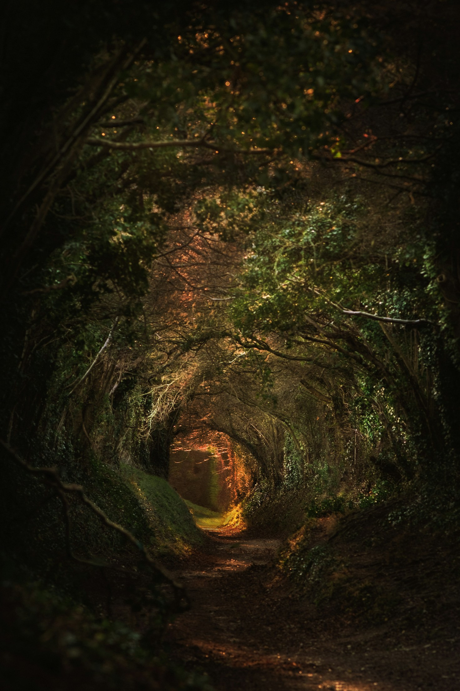 Sam Wilket’s Inspirations for Masterful Narratives